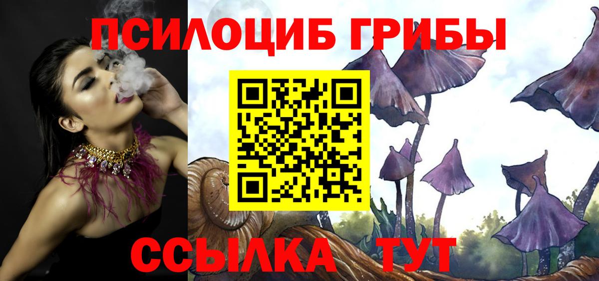 Благодарный  Псилоцибиновые грибы Psilocybe  Галлюциногенные грибы Magic Shrooms  Вход с VPN 